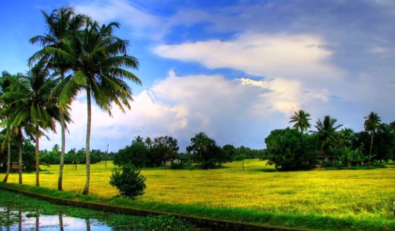 Kerala Essence Expedition