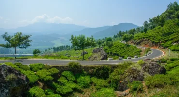 Munnar Escape